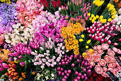 任天堂Switch主机更新16.0.0版本 微调玩家昵称规则