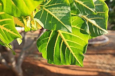 英国实体周榜：《霍格沃茨》连冠被断《WWE》首发登顶